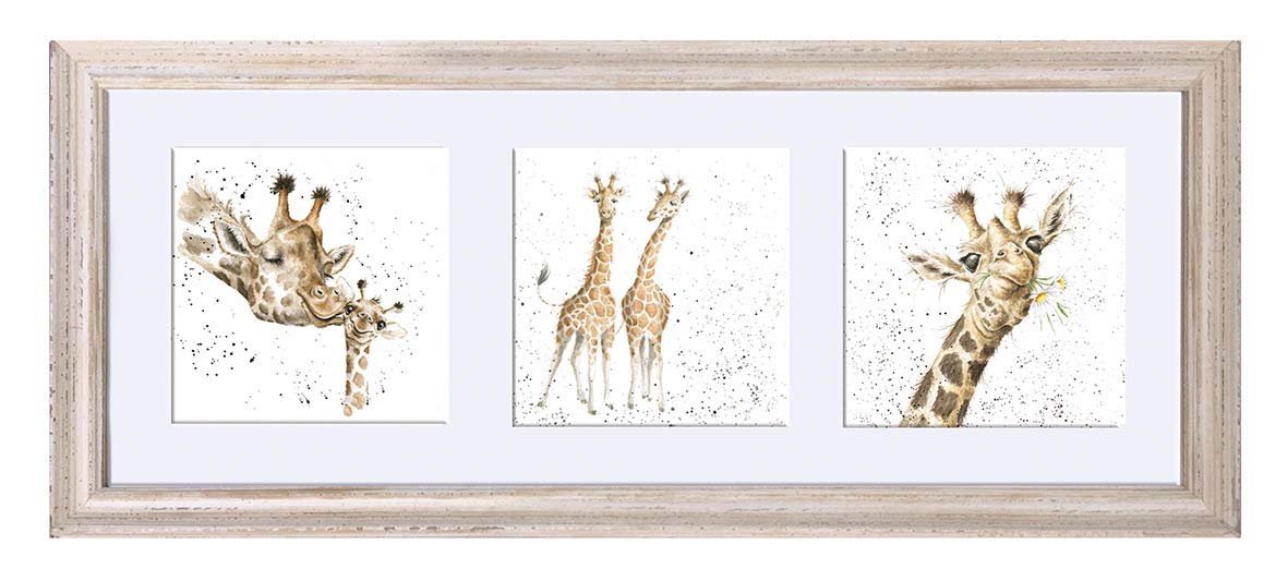 Wrendale Designs Off White - 'A Trio Of Giraffes' - White Frame