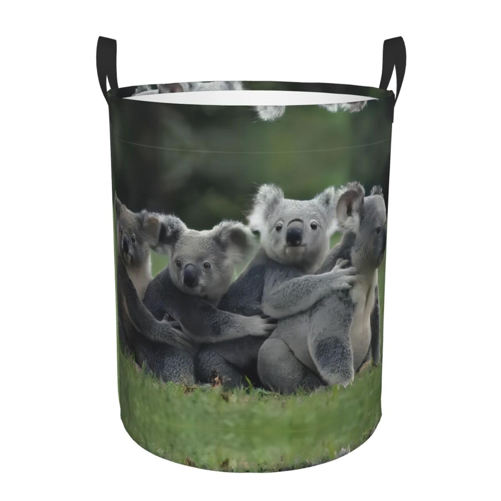 M Circular Hamper Cute Koala bear Print for Dirty Clothes