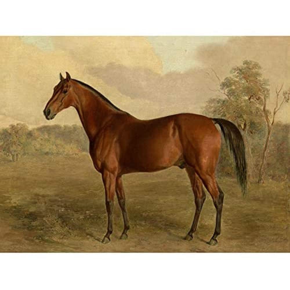 Artery8 Troye Kentucky Woodpecker 1834 Brown Horse Painting Unframed Wall Art Print Poster Home Decor Premium