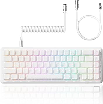 ATTACK SHARK X65 HE 60% Wired Magnetic Keyboard with Adjustable Actuation,8000 Hz Polling Rate,Hall Effect Switches,Hot-Swap,Topographic PBT Keycaps,RGB Backlit for FPS Games,with 8K Coiled Cable