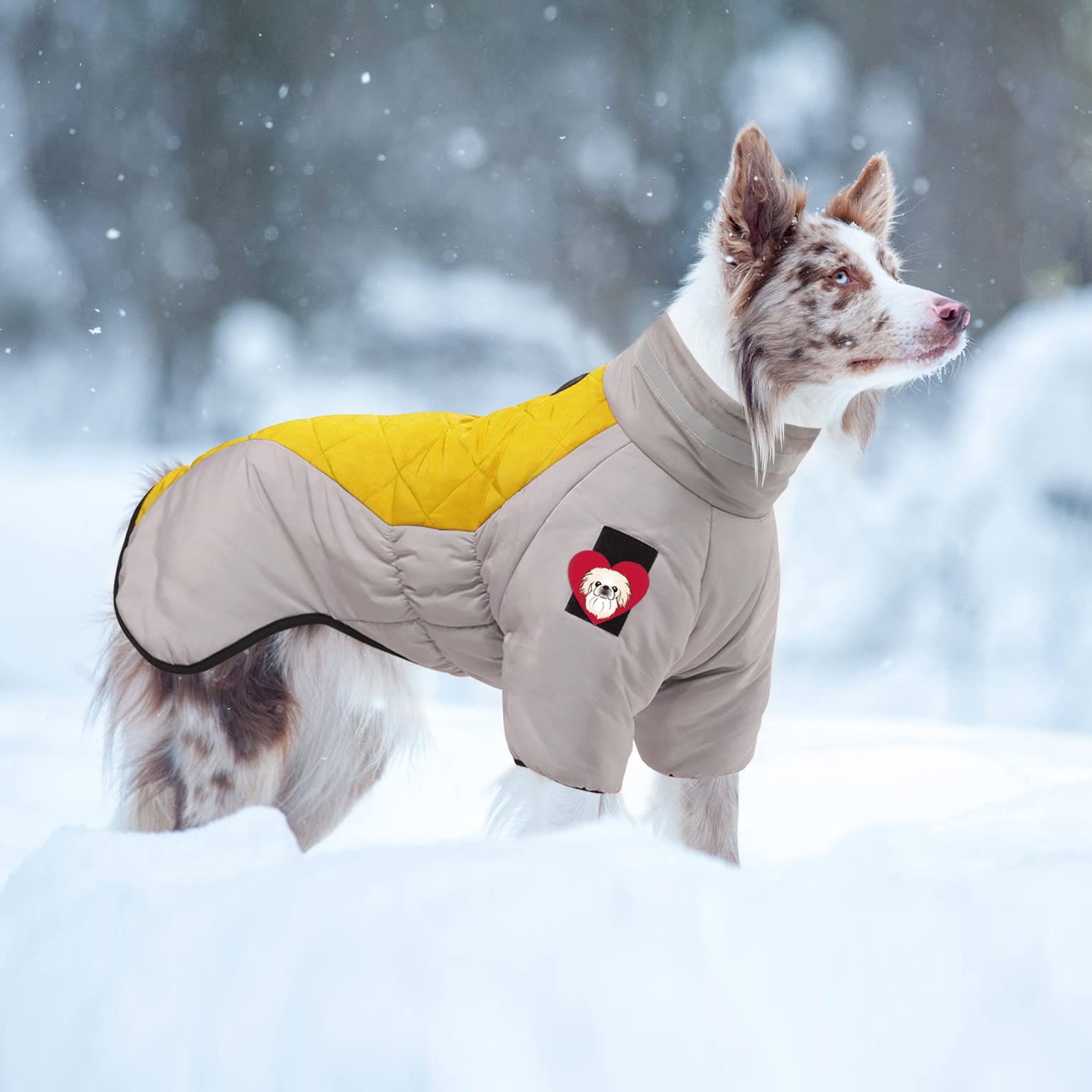 KZLAA Warme Hundejacke Für Große Hunde - Winddicht, Mit Pelzkragen & Reflektierenden Streifen, Größe 4XL, Grau