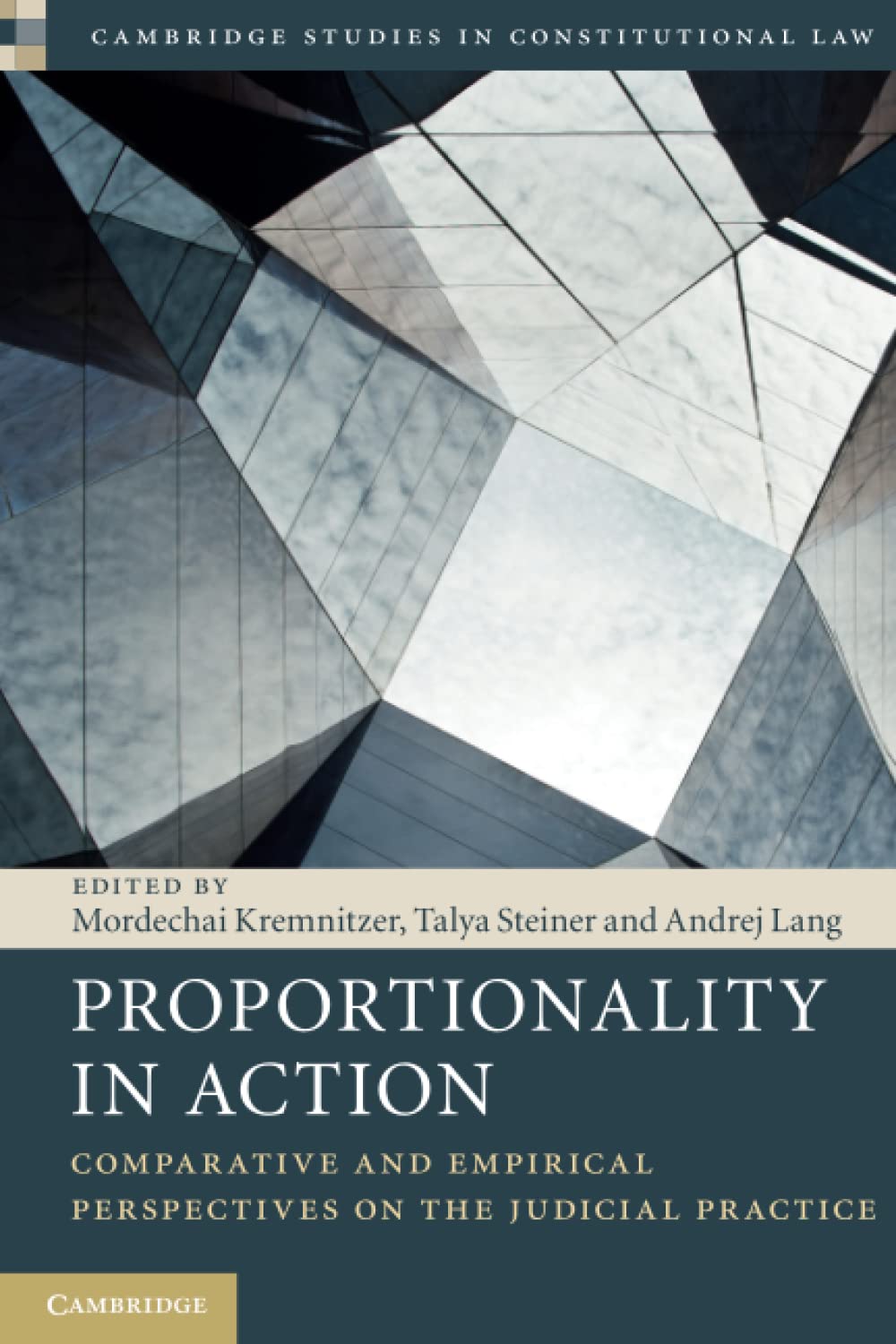 Proportionality in Action: Comparative and Empirical Perspectives on the Judicial Practice: 22 (Cambridge Studies in Constitutional Law, Series Number 22)