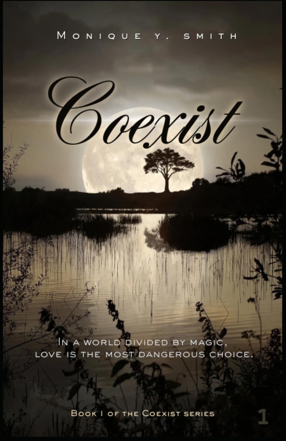 Coexist: A Supernatural Romance: In a world divided by magic, love is the most dangerous choice.