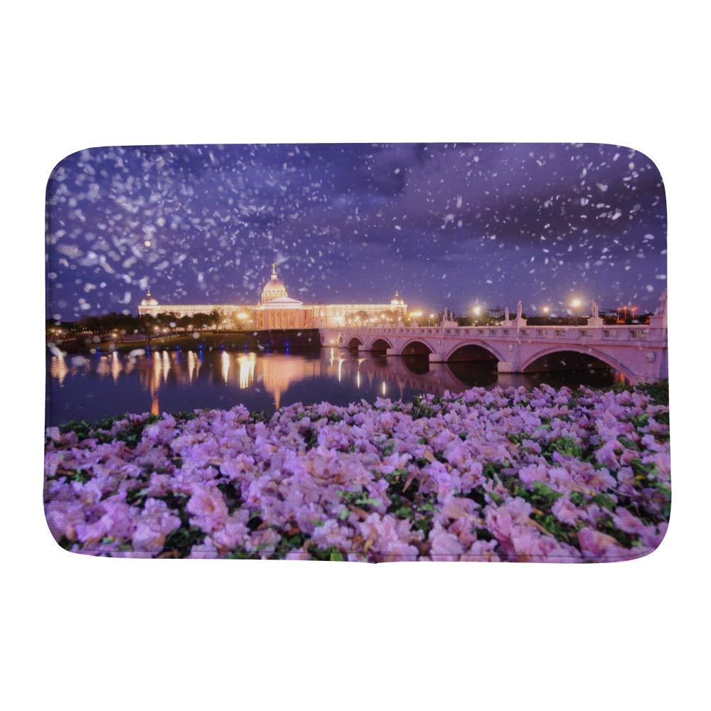 Tapis de bain absorbant et lavable en velours doux motif lune