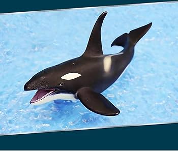 Amazon.co.jp: Igreli 海の動物モデル シャチ ミニチュア おもちゃ