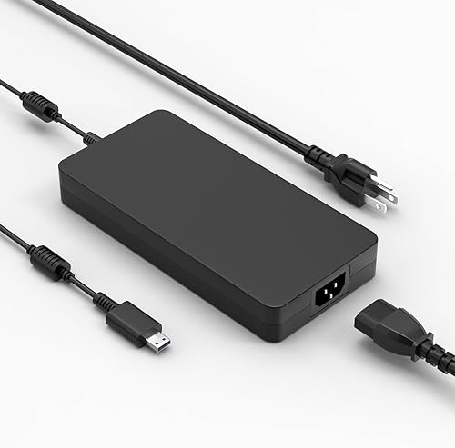 Ruilezyo 240W USB Tip Laptop Charger Compatible with MSI GE76 GE66 GP76 GP66 GS7