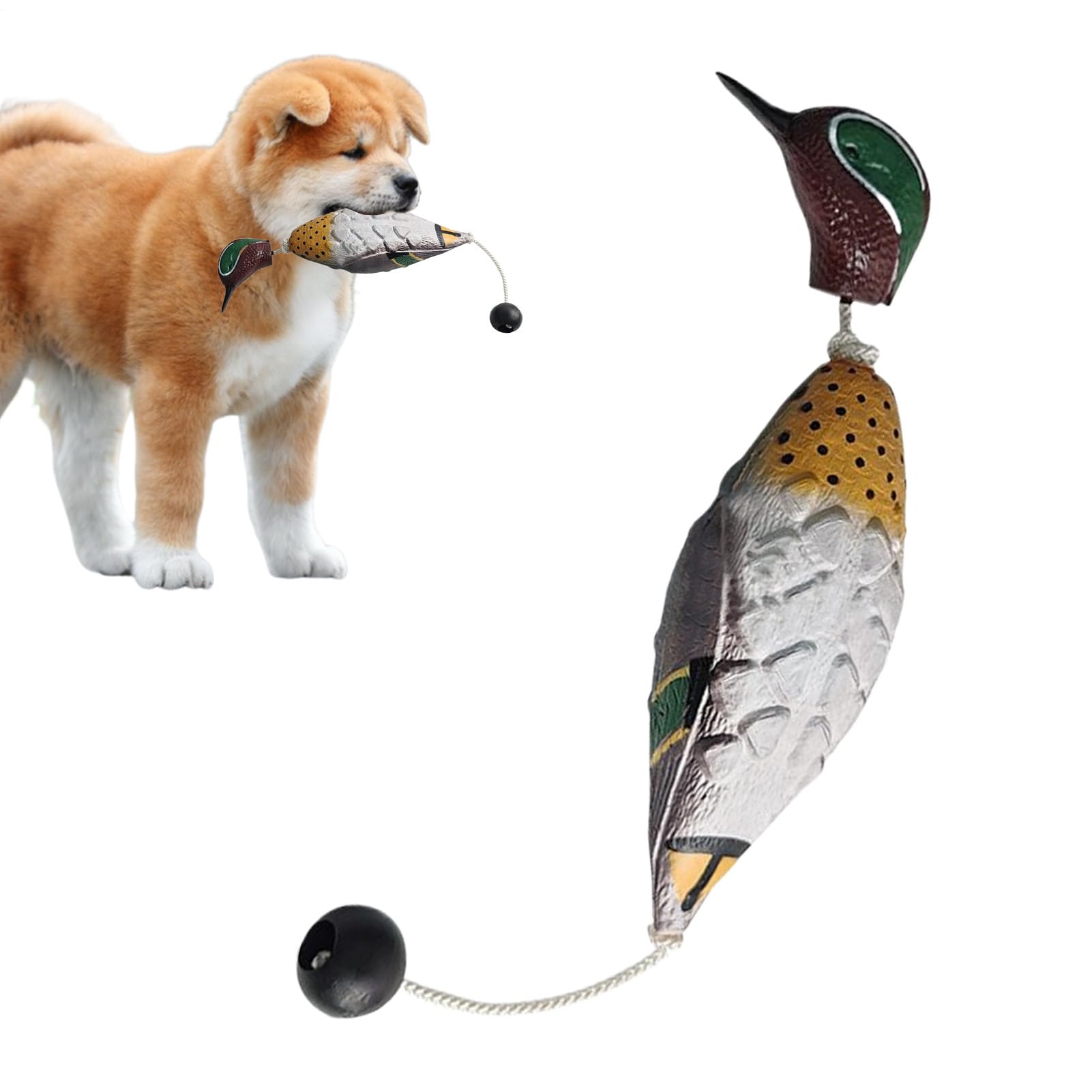 Zeyaoaea Dog Training dummys, dummys Pheasant Toy, Waterfowl Hunting Retriever | Realistic Fowl Trainer Scent Decoys Floating Retriever Pet Supplies For Doggy Lakes Park Garden