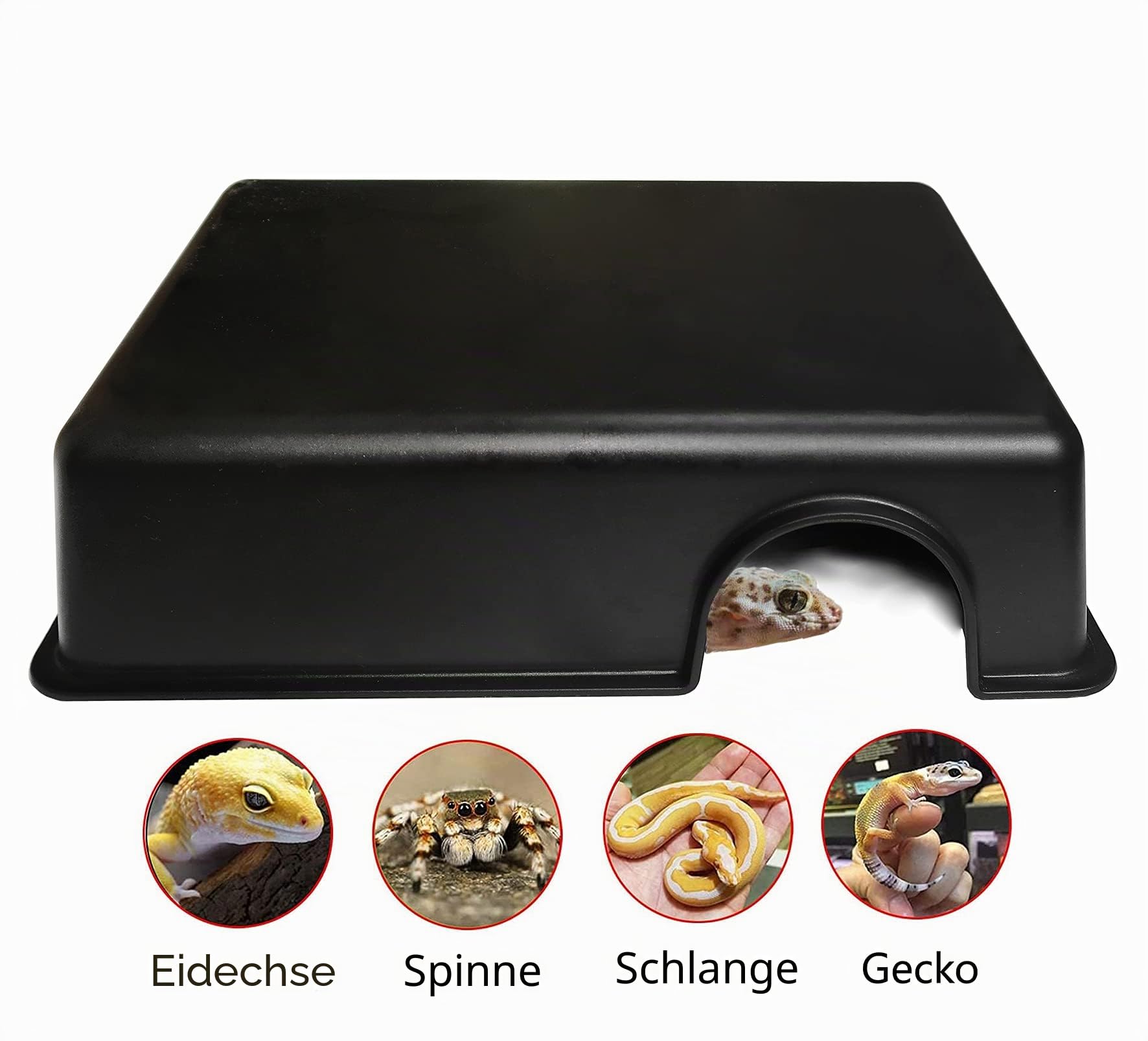 Reptilien Versteck Gecko Accessories aus Leicht zu Reinigendem Polypropylen-Kunststoff, Unterschlupf für Kleine Schlangen, Eidechsen und Schildkröten
