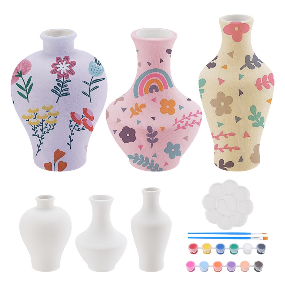 WEBEEDY Juego de 3 jarrones de cerámica, kit de pintura de cerámica para adultos principiantes, pinta tus propios jarrones de porcelana, manualidades para escritorio, mesa, decoración del hogar