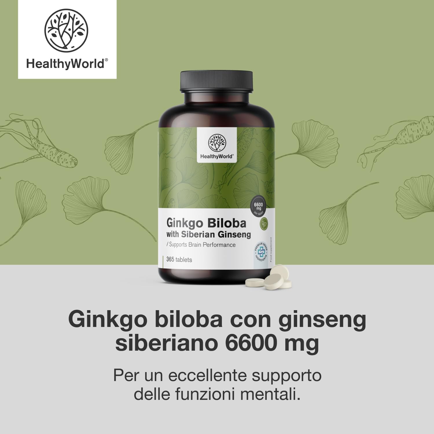 HealthyWorld® Ginkgo Biloba con Ginseng siberiano 6600 mg - Dose elevata, qualità premium - Per funzioni cognitive - 365 compresse per 1 anno di scorta - Estratto di ginkgo 50:1 (120mg) e 10:1 (60mg)