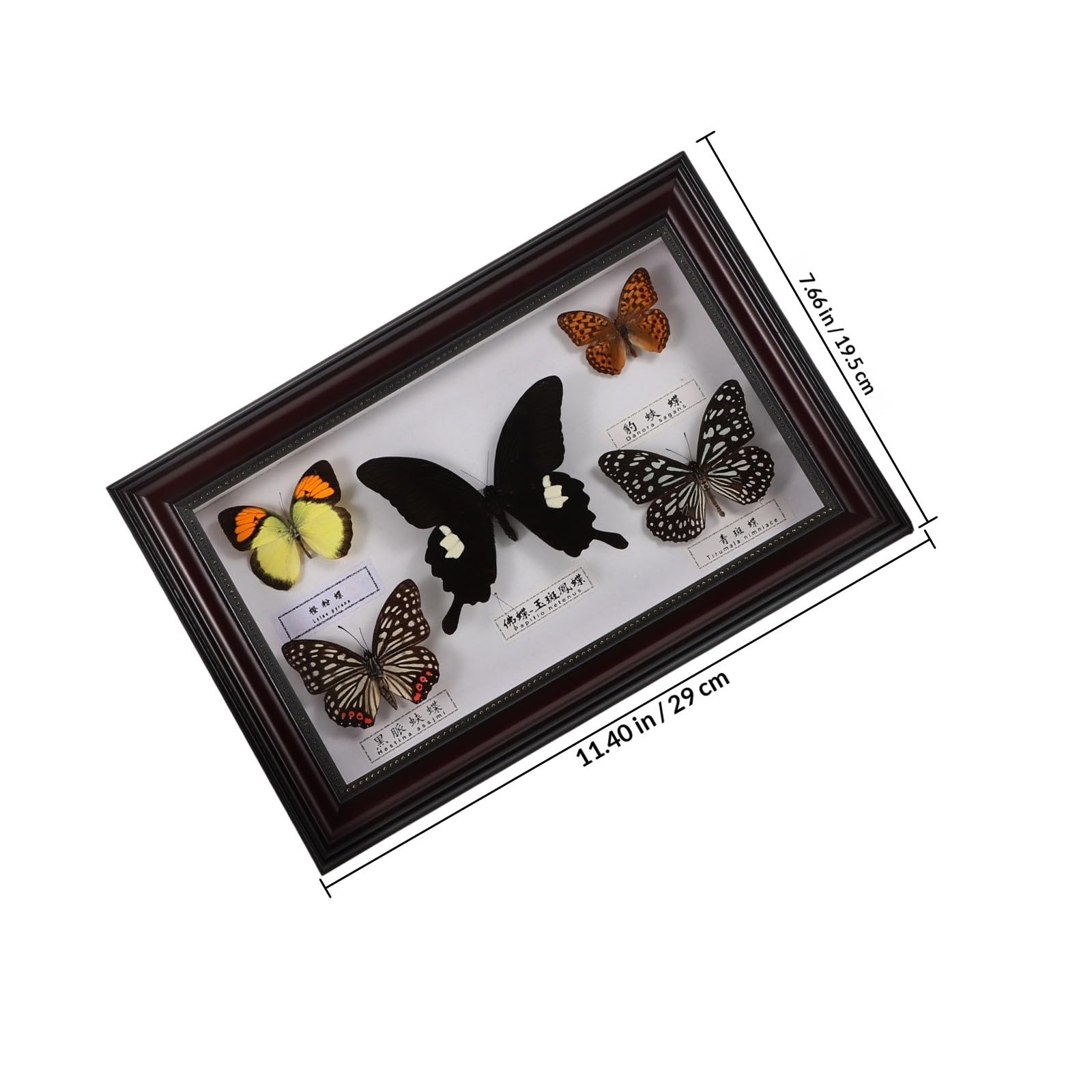 Marco de Fotos Decorativo de Madera Mariposas para Decoración de Pared Hogar, Diseño Práctico y Versátil Estilo Retro y Elegante