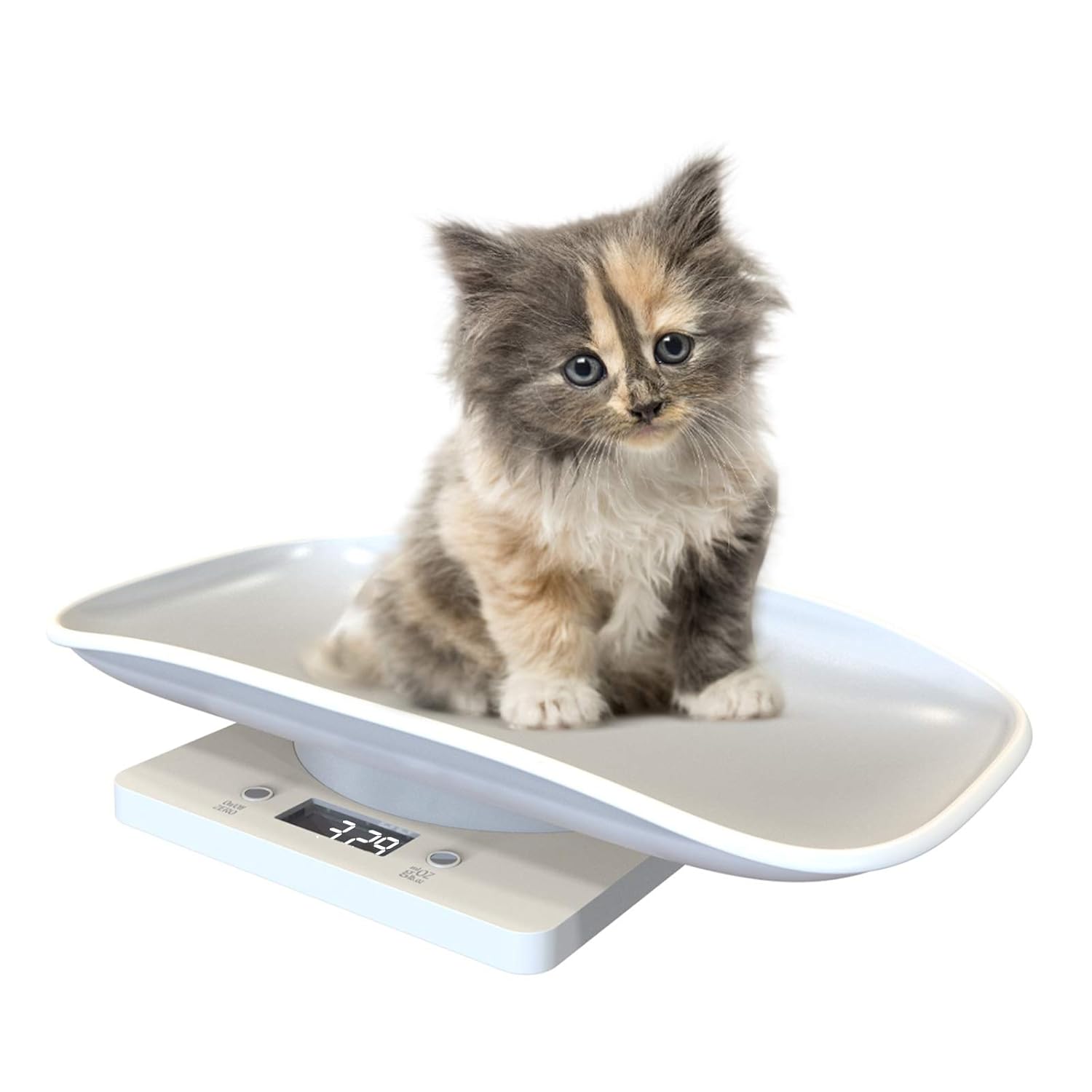 Nuscen Puppy Scales 10KG Digital Pet Scale,Animal Baby Puppy Kitten