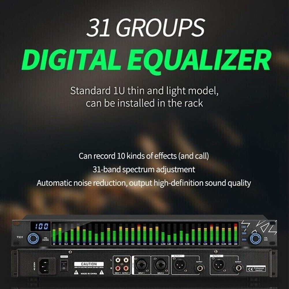 HpLive 31-Band Digital Stereo Equalizer Spektrumanalysator mit DSP-Verarbeitung für Heimkino und Tonstudio Schwarz