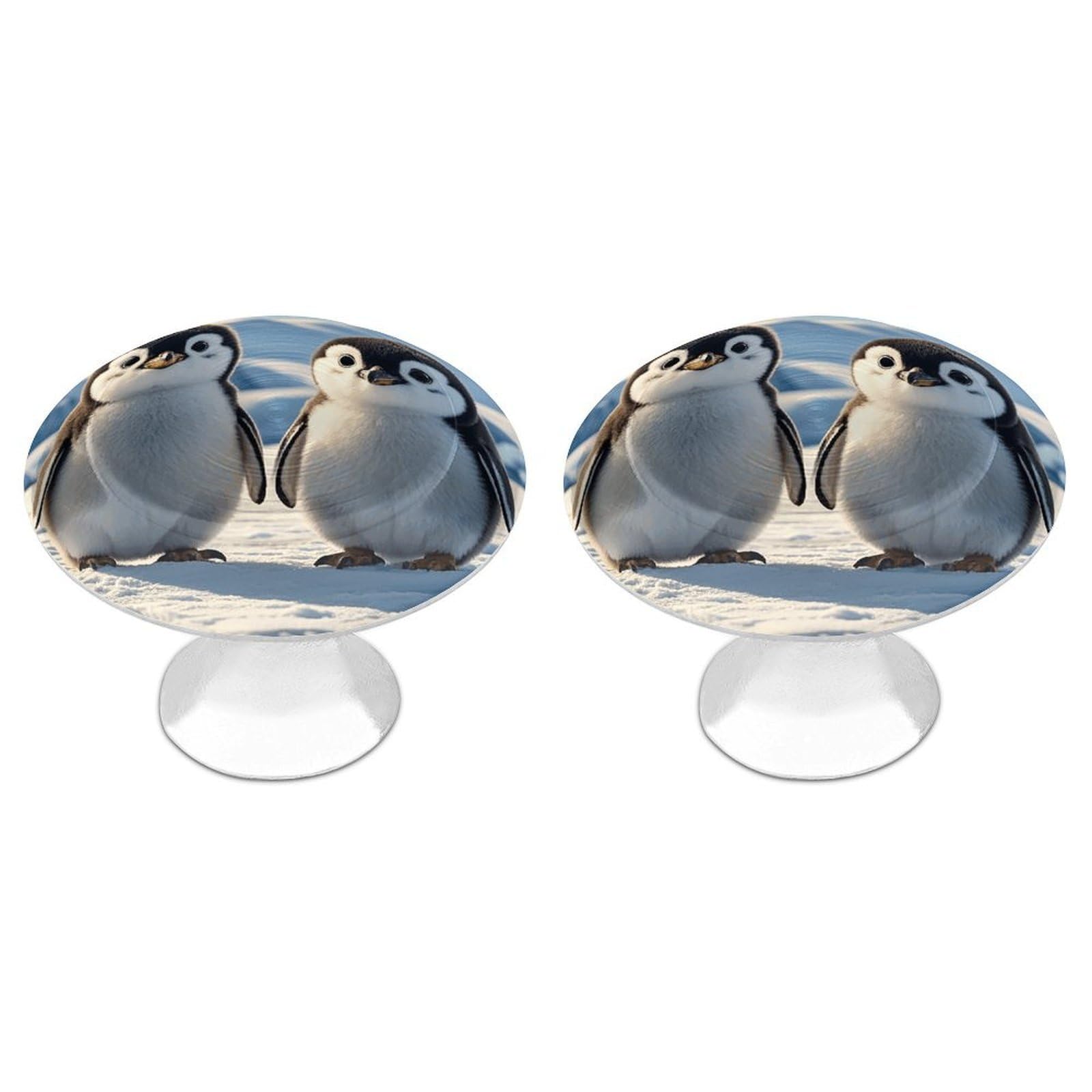 FekiLoot Cute Penguins Cabinet Knob 2 Pack Mini Round Drawer Pulls Stainless Steel Dresser Drawer Knobs Kitchen Drawer Hardware for Bathroom Dresser Closet Door Knobs
