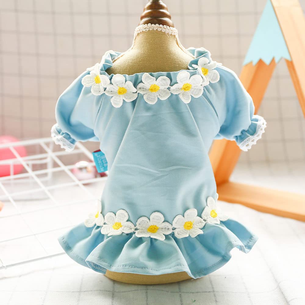Robe pour chat et chiot bleu XS : habillez votre petit compagnon avec amour