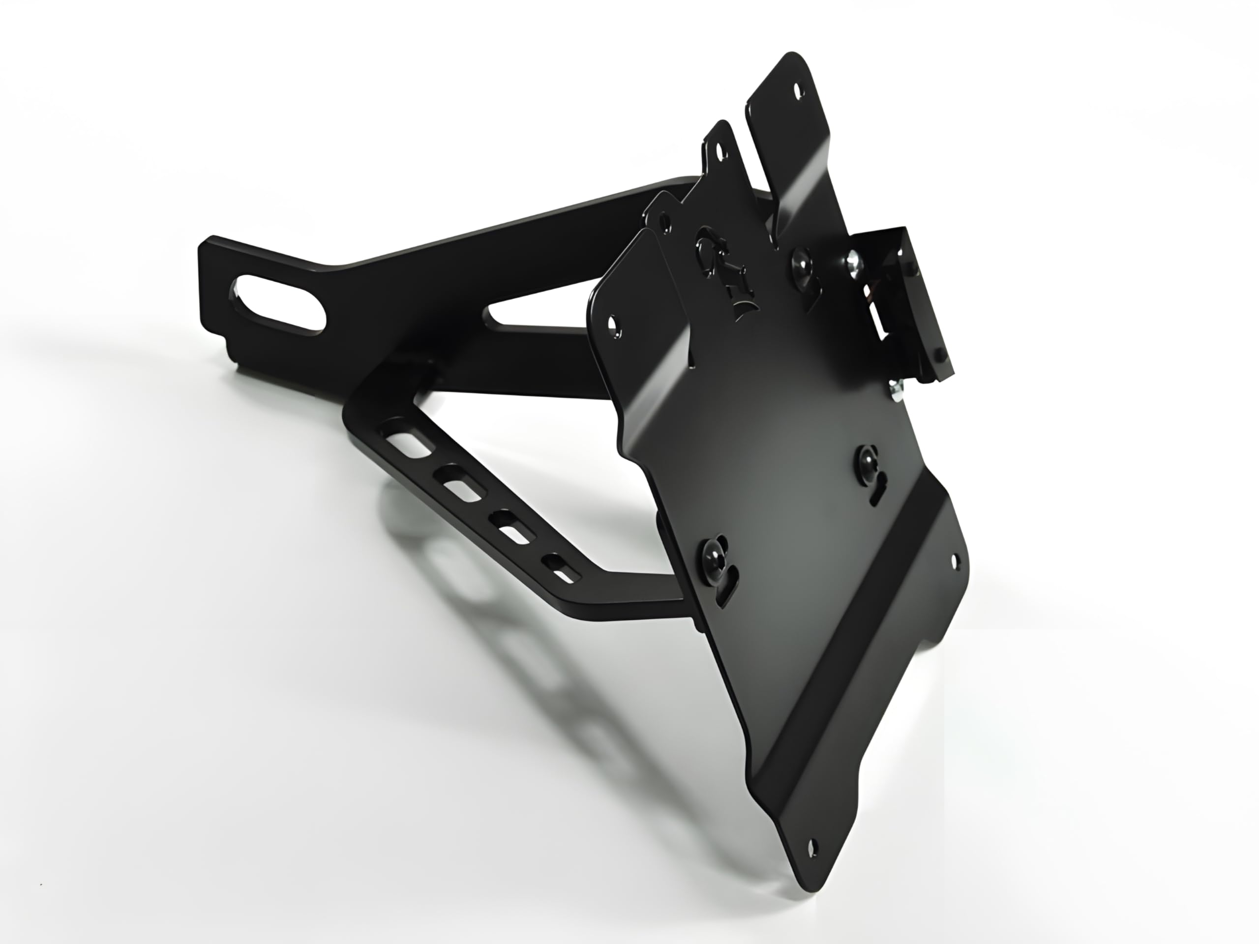 ZIEGER seitlicher Kennzeichenhalter kompatibel mit Harley Davidson Sportster