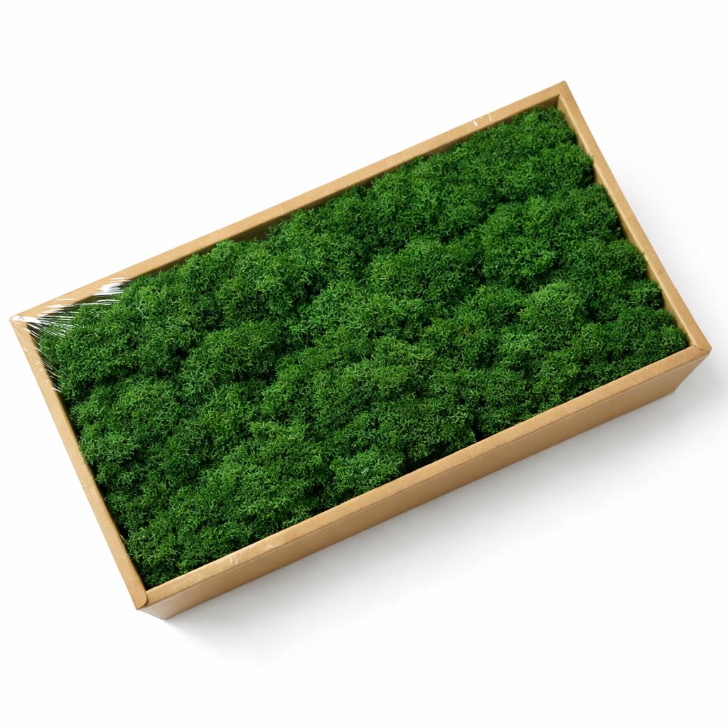 ZenceWell Preserved Reindeer Moss 500g for Crafts and Décor, Dark Green