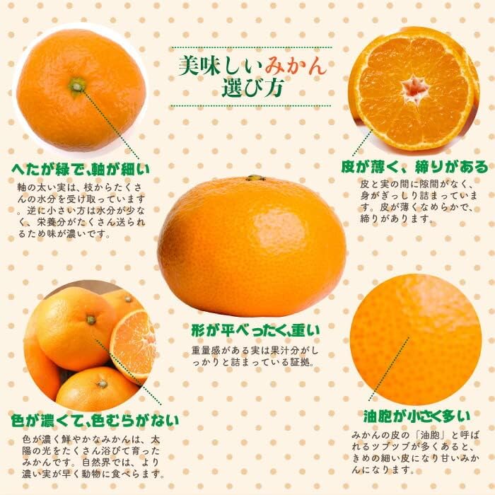 Amazon 予約 23年1月下旬頃から発送 熟成 蔵出し あんみつ姫 みかん 約5kg 2l 3lサイズ 25 40玉 佐賀県産 産地箱 熟成みかん 蔵出しみかん ギフト 贈答用 通販 ポイント交換 こだわり食品の専門店 長島store みかん 柑橘類 通販