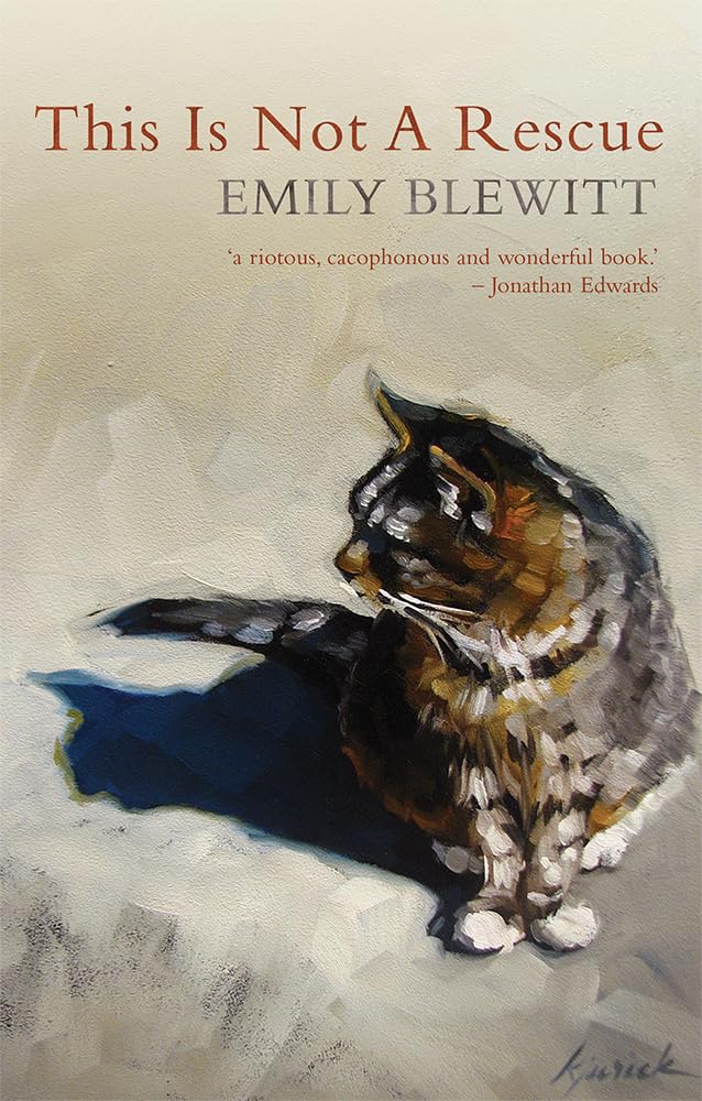 This Is Not a Rescue by Emily Blewitt PAPERBACK 9781781724095