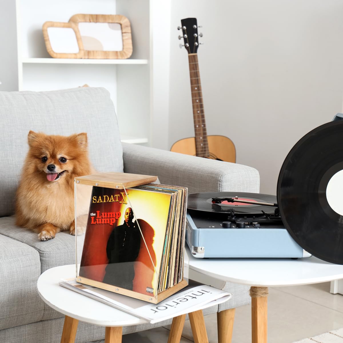 Supporto per dischi in vinile, supporto per dischi in vinile, supporto per dischi in legno massello per display LP, supporto per dischi per decorazione moderna per la casa e l'ufficio