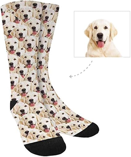 socks dog face