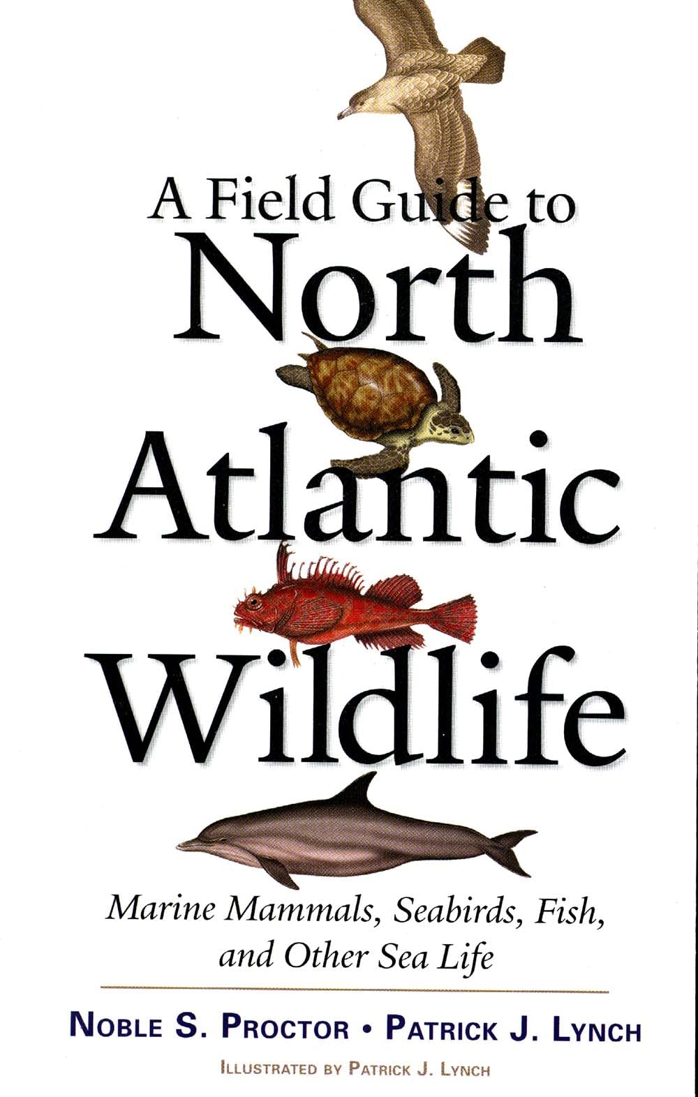 A Field Guide to North Atlantic Wildlife: Marine Mammals, Seabirds, Fish, and Other Sea Life