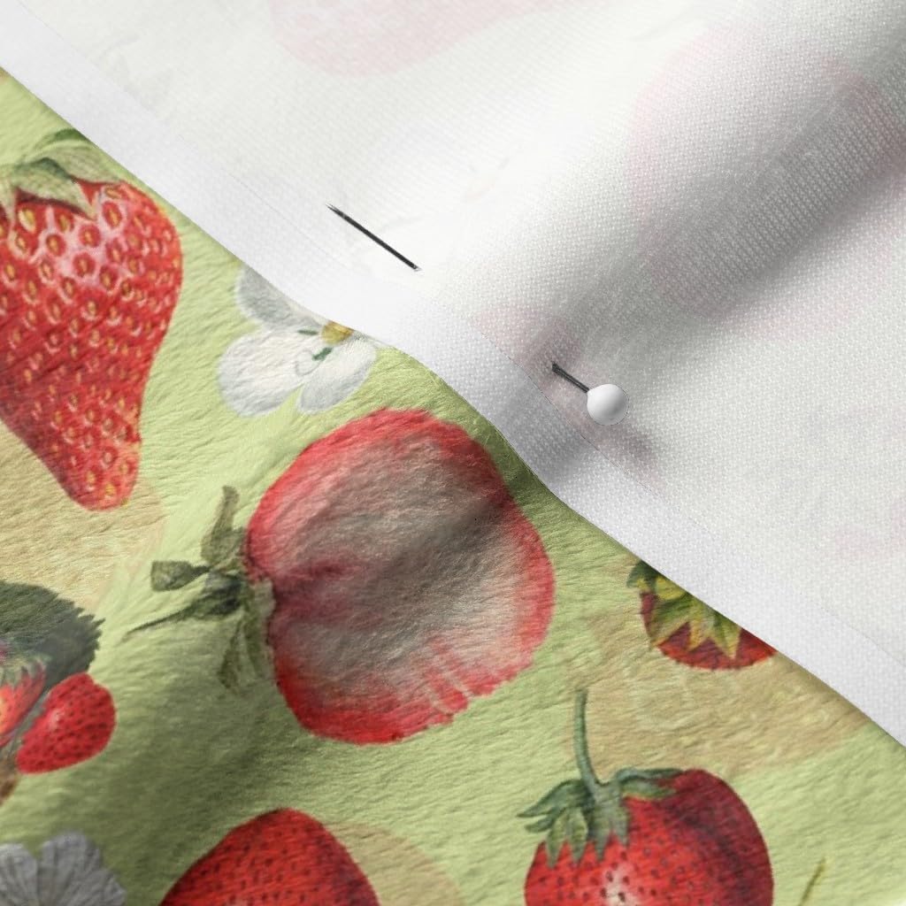 Spoonflower Fabric - Antique Watercolor Strawberry Flower Meadow Printed on Minky Fabric by The Yard - Sewing Baby Blankets Quilt Backing Plush