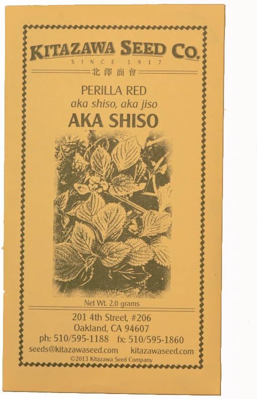Red Perilla - Aka Shiso