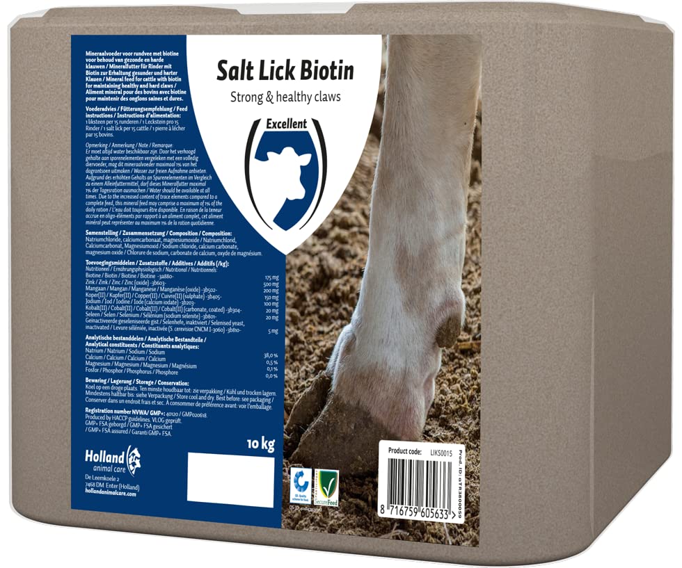 BIOTIN Lick Stone Fournitures de Soins de santé