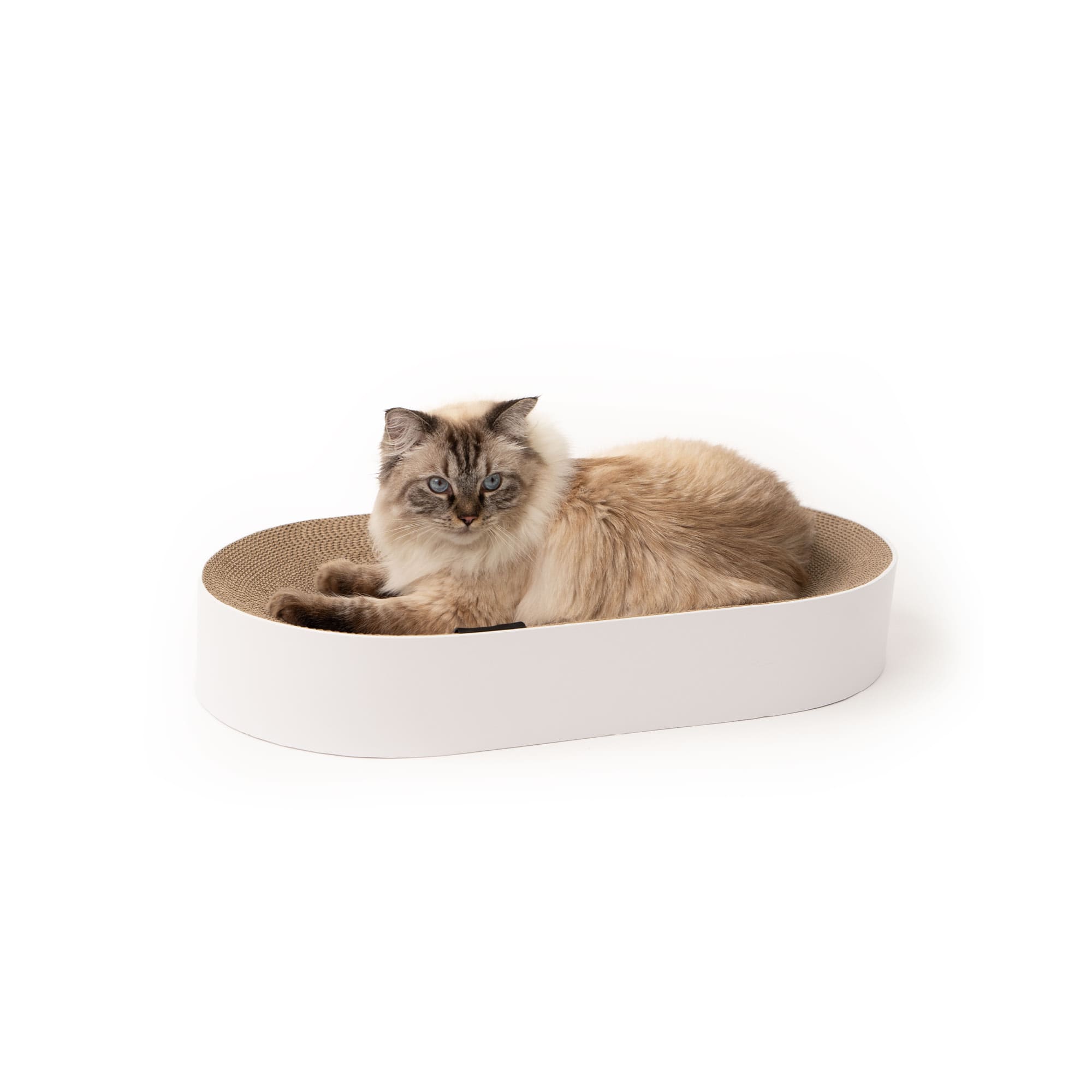 LucyBalu® SCRATCHBED - Cama rascador para gatos, de cartón, XXL, redonda, de cartón antiarañazos para gatos, color natural