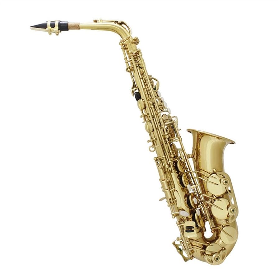 Amazon.co.jp: アルト サックス ブラス ボディ ボディ ホ長調