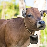 Vista 3 de Cencerro de metal súper grande de 3.35 x 3.54 pulgadas, campana de pastoreo para ganado y caballo, campana de animales de granja, campana