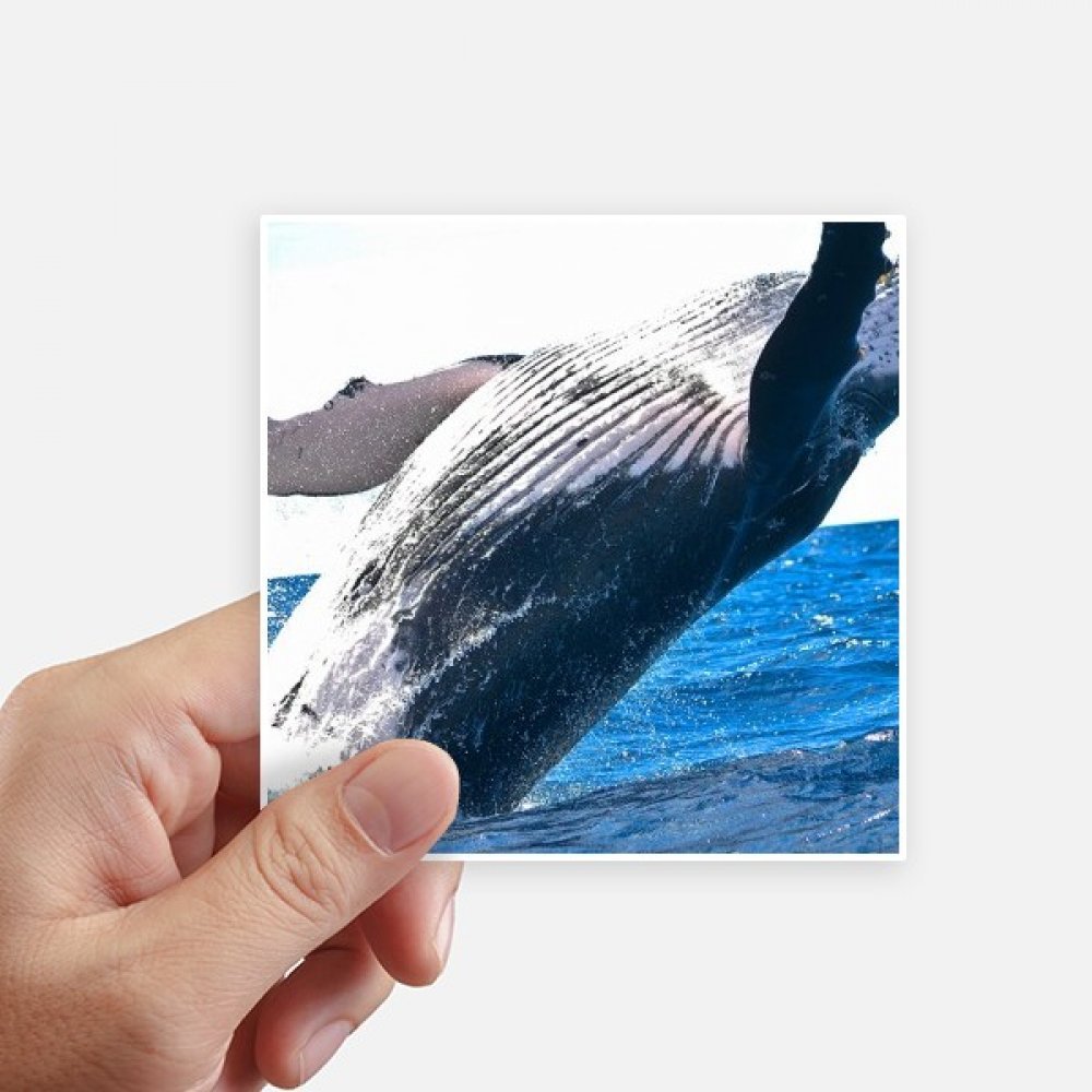 Autocollant baleine et animal marin de 10cm pour déco de mur et ordinateur