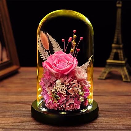 Amazon Co Jp プリザーブドフラワー プレゼント 人気 薔薇 永遠の花 ガラスドーム ぶりざーどフラワー Ledライト ドライフラワー バラ 枯れない花 フラワーギフト ギフトボックス ラッピング済み 男性 女性 母 祖母 女友達 妻 還暦祝い 母の日 退職祝い 結婚記念日