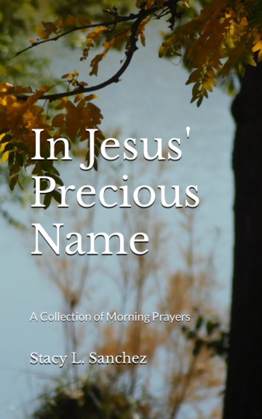 In Jesus' Precious Name: A Collection of Morning Prayers