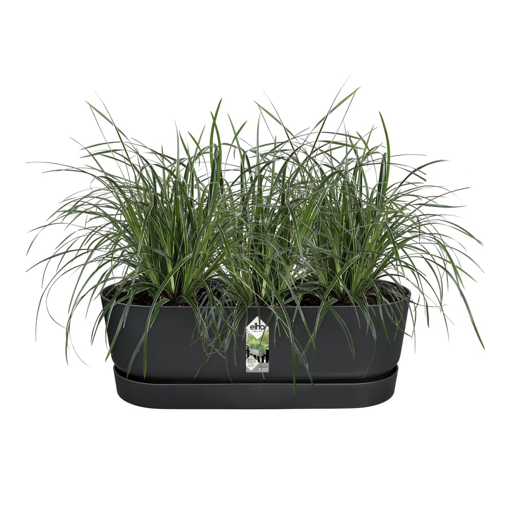 elho Greenville Easy Balcony 52 Blumentopf Balkon - Übertopf für Balkon - 100% recyceltes Plastik - Ø 52.0 x H 19.4 cm - Living Schwarz | L 21.2 x B 52 x H 19.4 cm | Integrierter Untersetzer | 100% recyceltes Plastik
