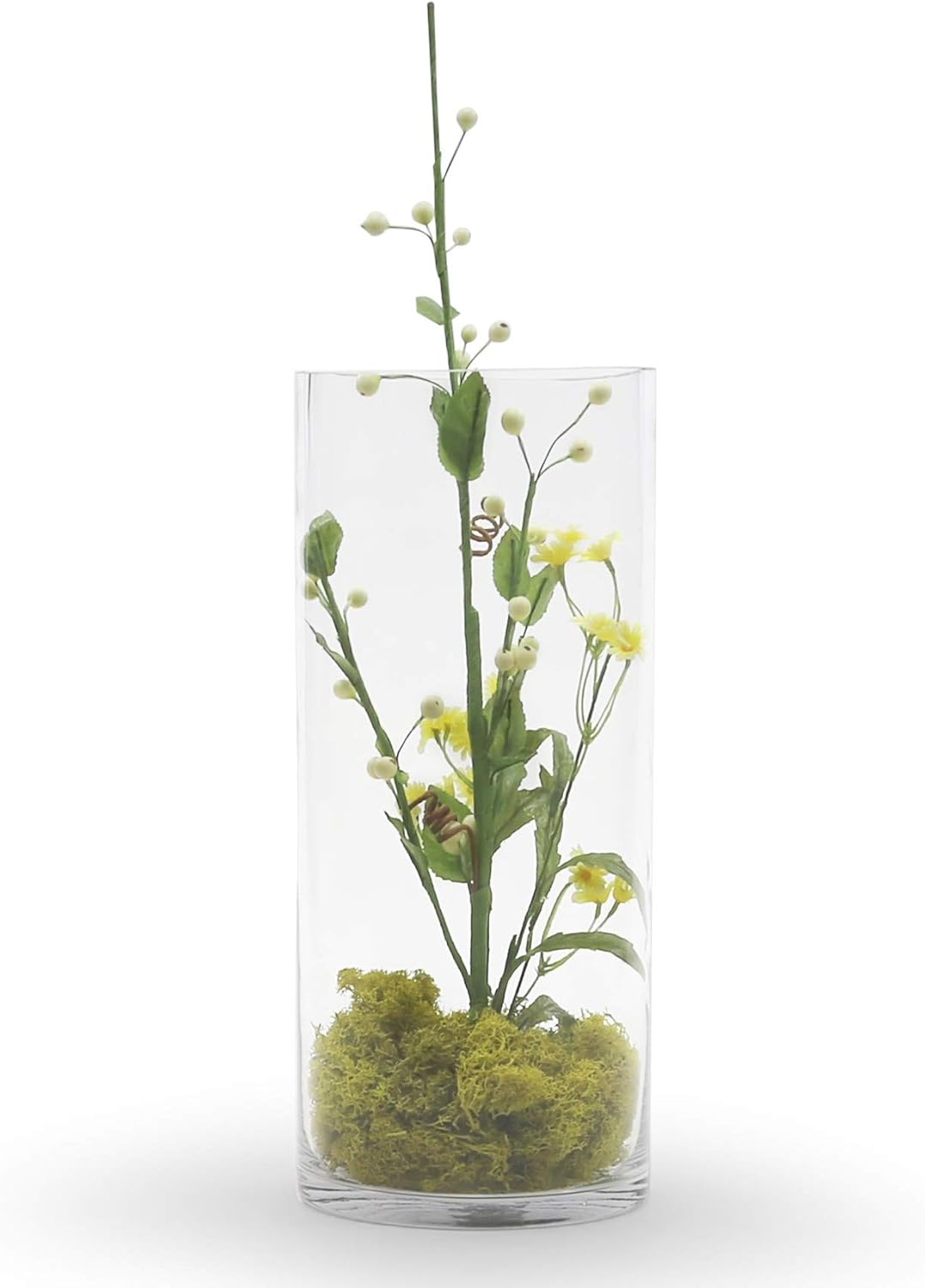 WGV Cylinder Vase, Width 6", Height 12", Clear Glass Container Terrarium Candle Holder for Wedding Centerpiece, Party Event, Home Office Decor, 1 Piece