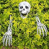Halloween Decoraitons Skeleton Stakes, Realistic Ground Breaker, Skeleton Arms with Stakes and Skull for Halloween Decorations Outdoor Lawn Patio Garden