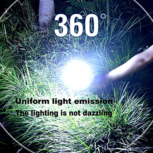 Confezione da 2 luci solari da campeggio, LED