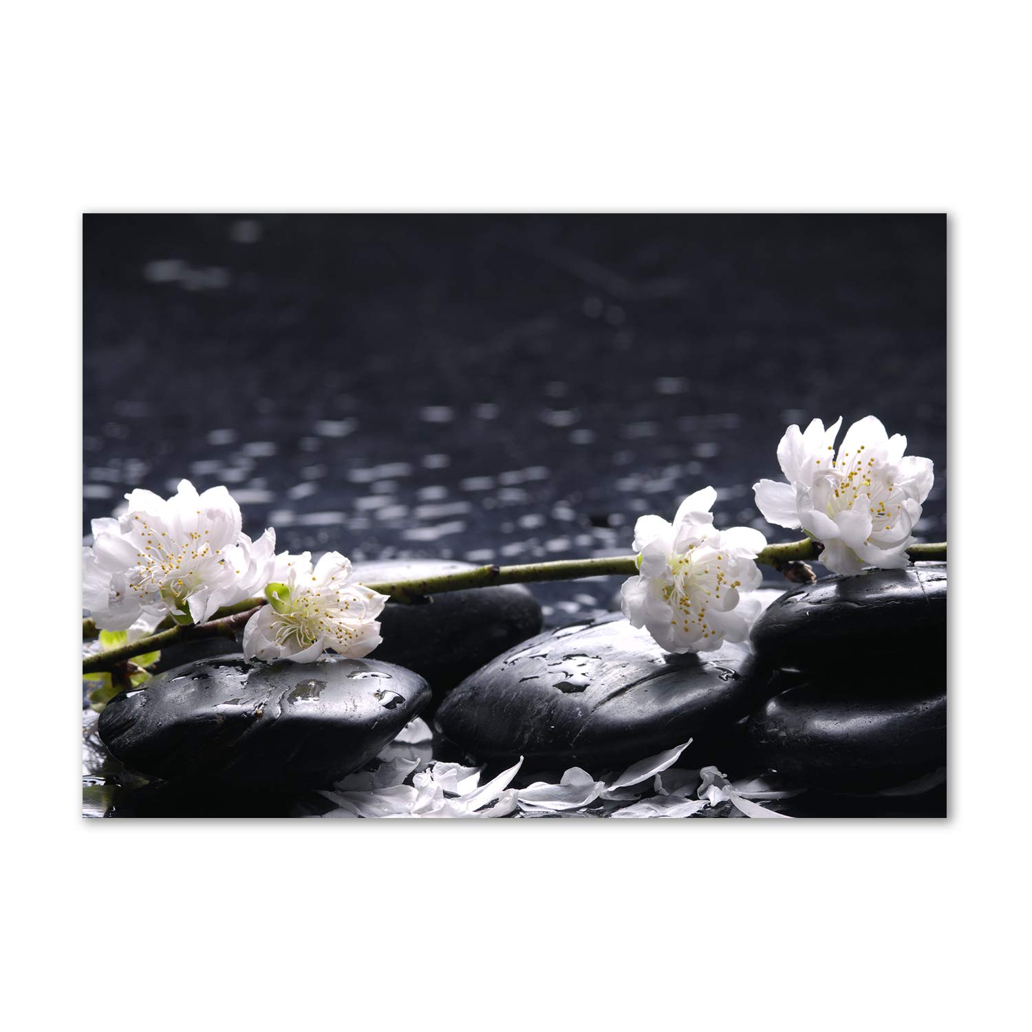 Déco murale acrylique glass picture Tulup fleur de cerisier tableau verre plastique noir