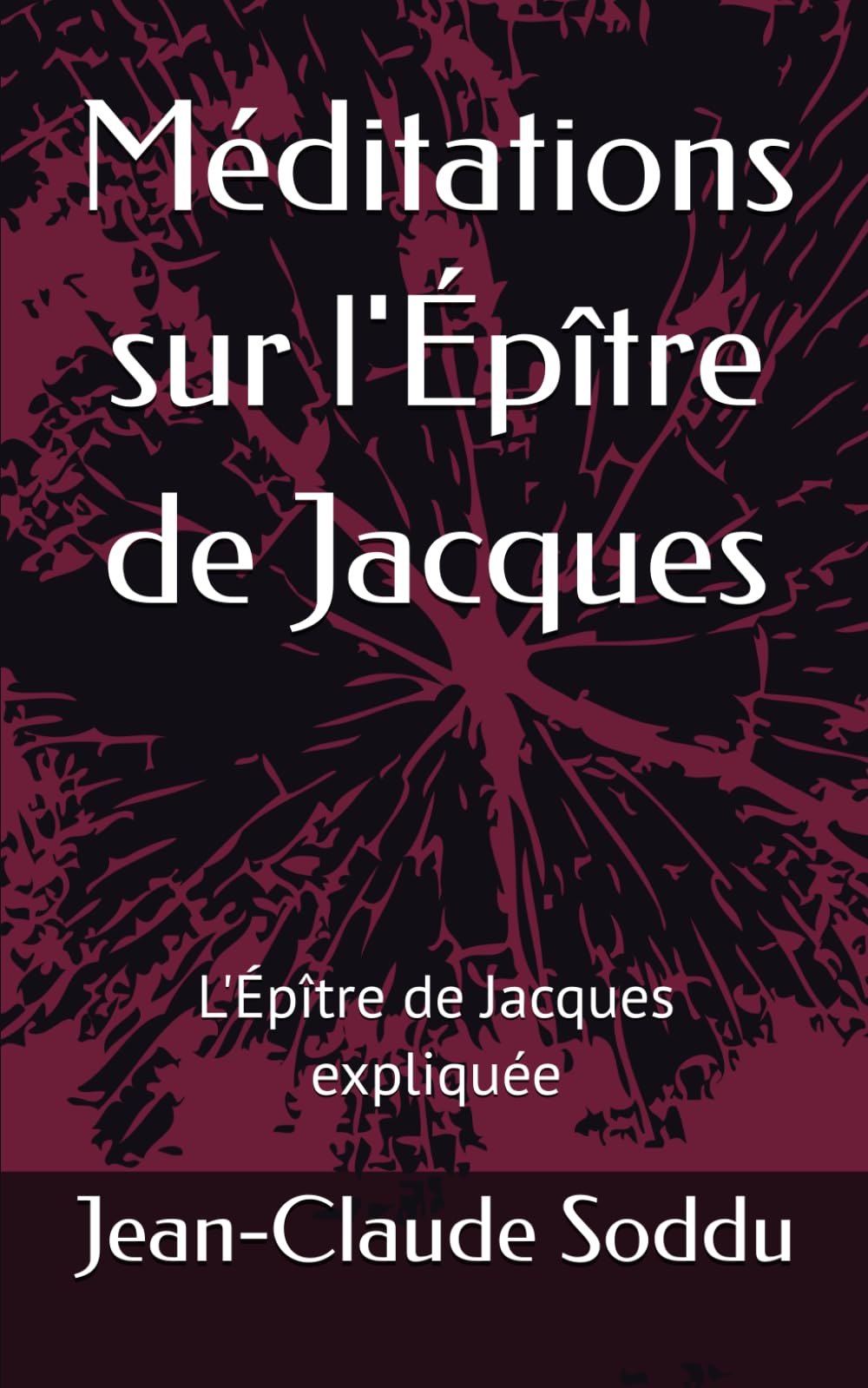 Méditations sur l'Épître de Jacques: L'Épître de Jacques expliquée