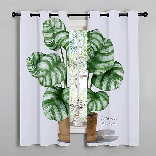 Miniatura 2 de Cortinas para cocina - Cortina corta con ojales en maceta para armario sin puerta, cortinas bohemias de 55 pulgadas de ancho por 72 pulgadas de