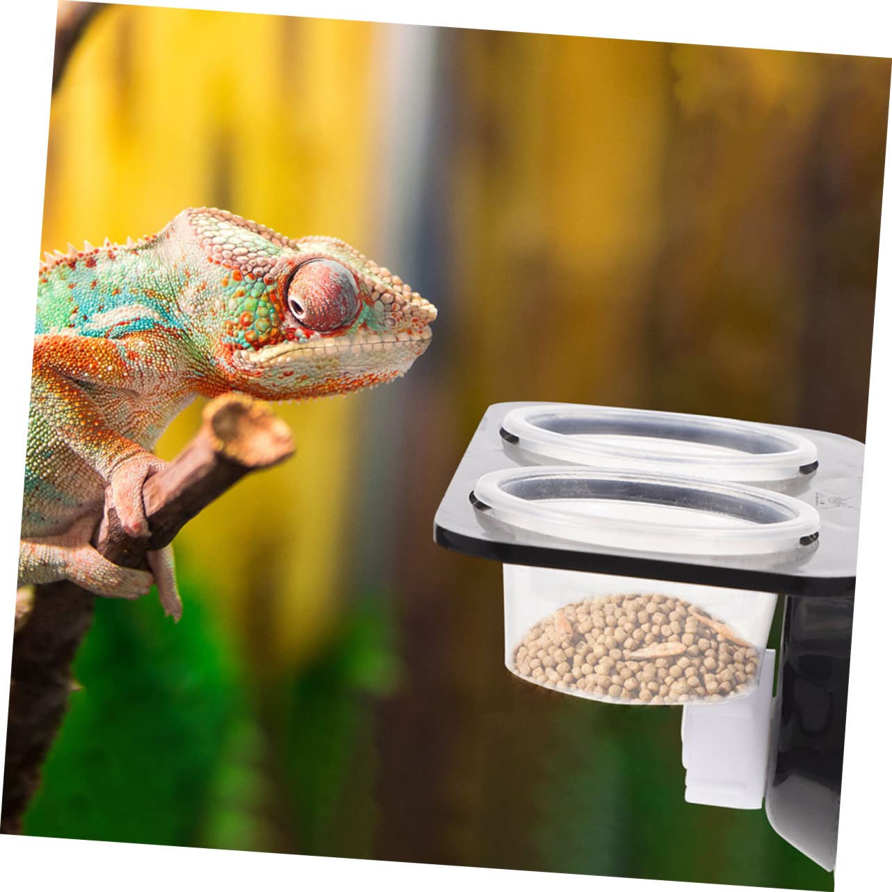 POPETPOP 5sets Accessori per Rettili Mangiatoia per Gechi con e Ciotole per Alimentatore per Rettili con Ciotole Compatte per Terrario