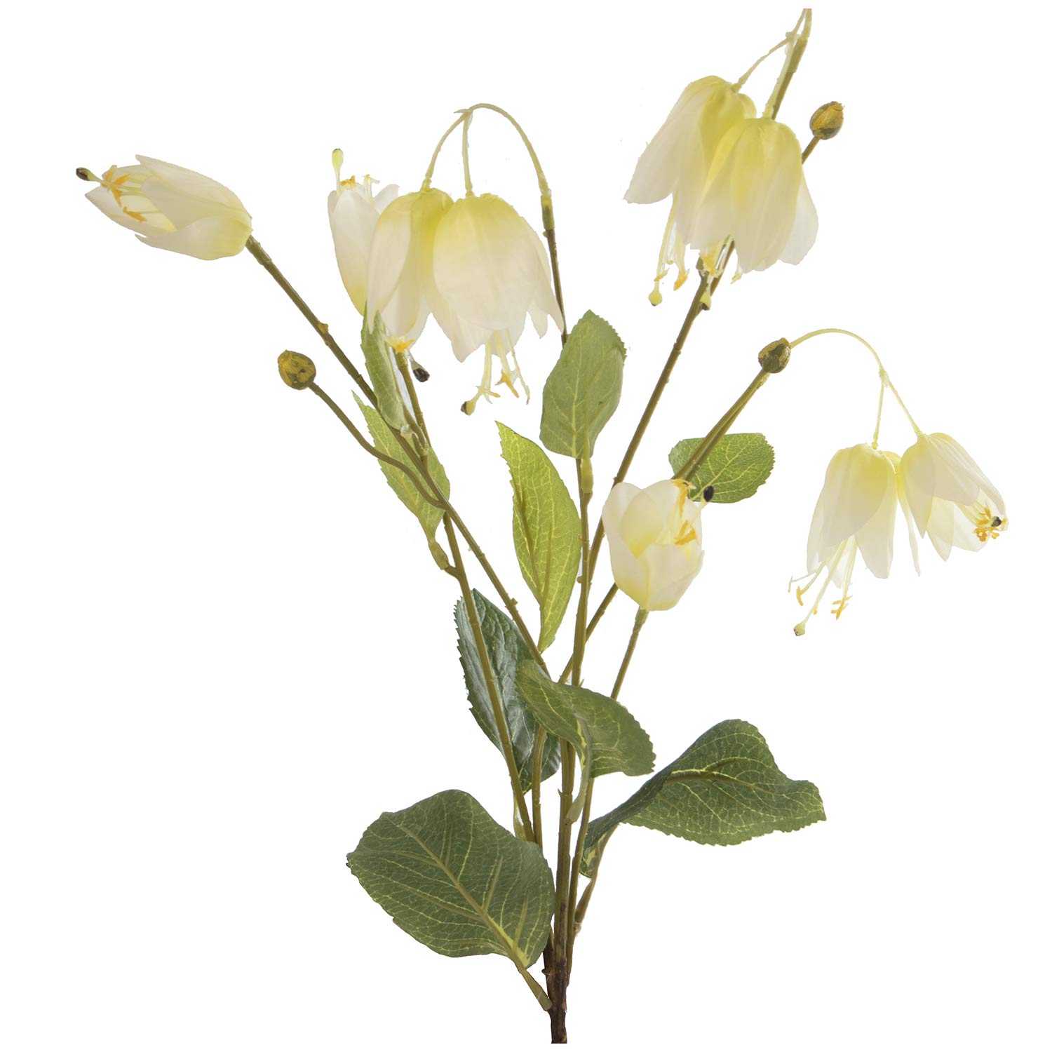 DRW - Set di 12 rami di fiori artificiali per frittura, in poliestere, colore: bianco, 82 cm
