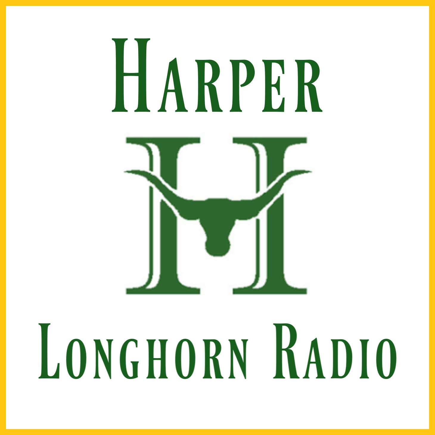 Harper Longhorn Radio