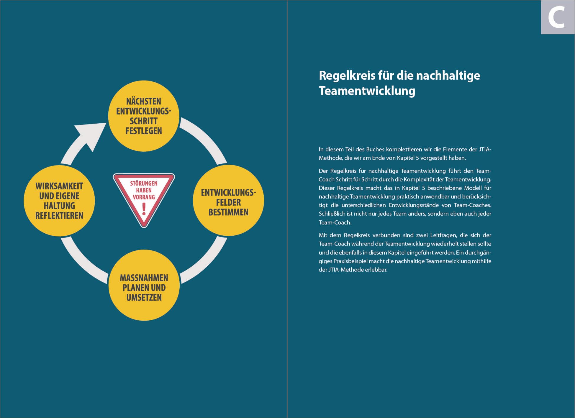 Jedes Team ist anders: Ein Praxisbuch für nachhaltige Teamentwicklung