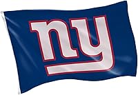 Vista 47 de Team Sports America NFL Philadelphia Eagles - Bandera duradera de 3 x 5 para exteriores con ojales, bandera y pancarta resistentes para jardín al