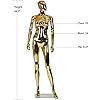 Product Photo 4