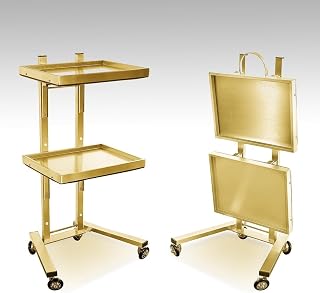 2 Tier Metal Rolling Cart, Stainless Steel Salon Tray with Wheels, Foldable Utility Carts Folding Salon Tray Trolley, Space-Saving Rolling for Estheticians, Beauty Pros