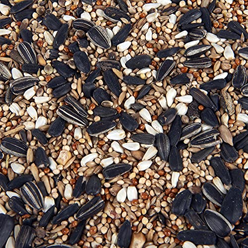 Premium Cockatiel and Parakeet Bird Food 3L Tub - Image 4